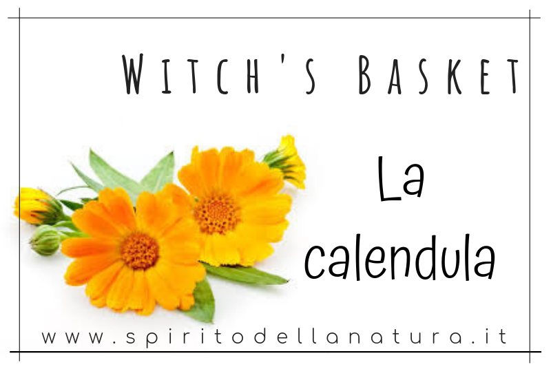 Witch's basket: la calendula – Spirito della Natura